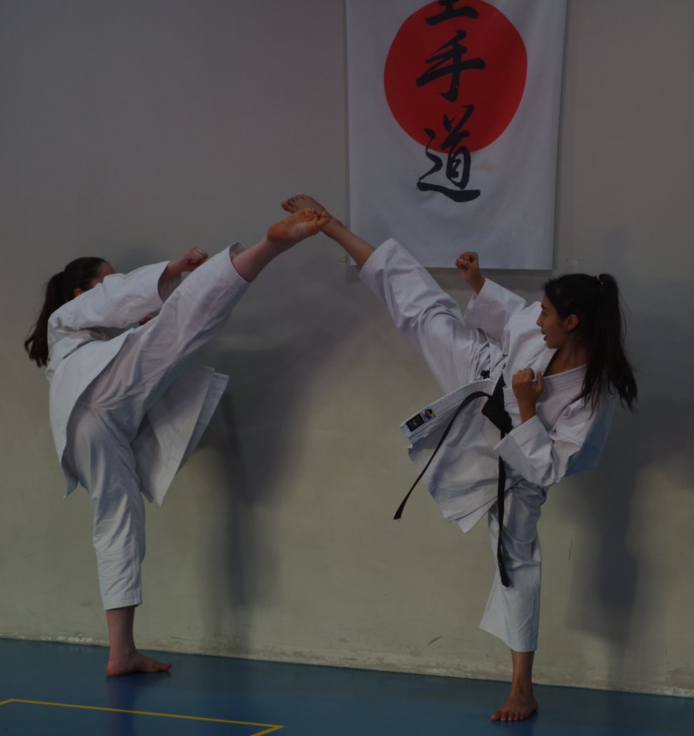 combat karate coup de pied