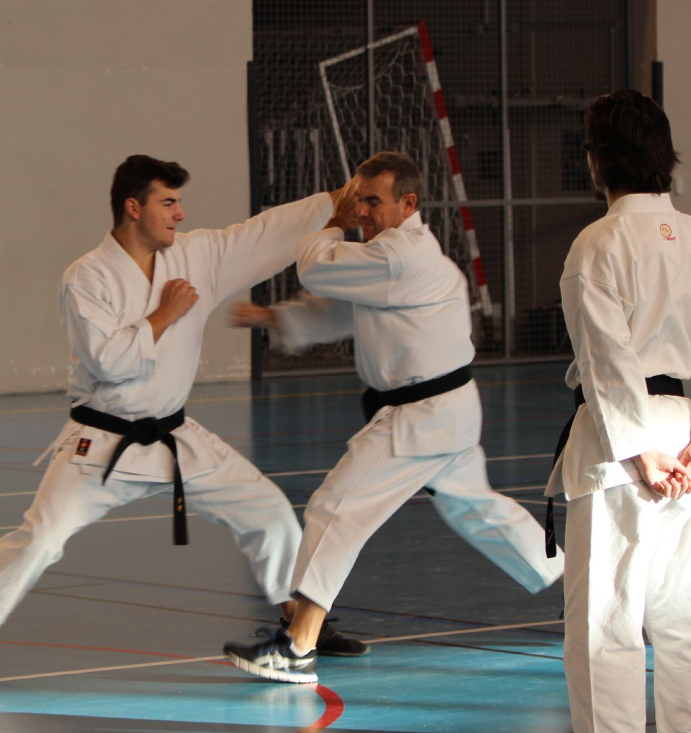 combat karate coup de poing