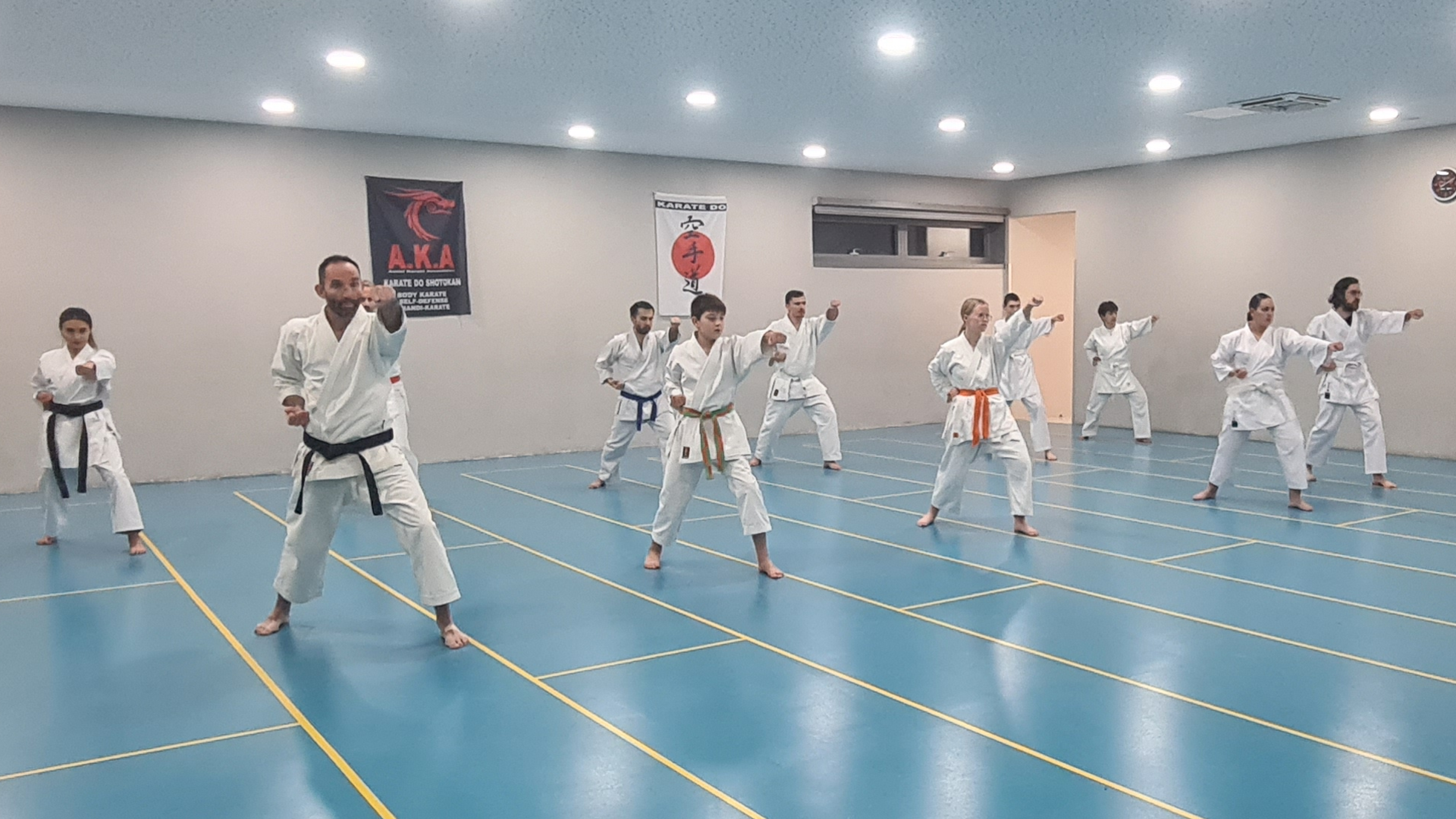 cours ados/adulte Karate