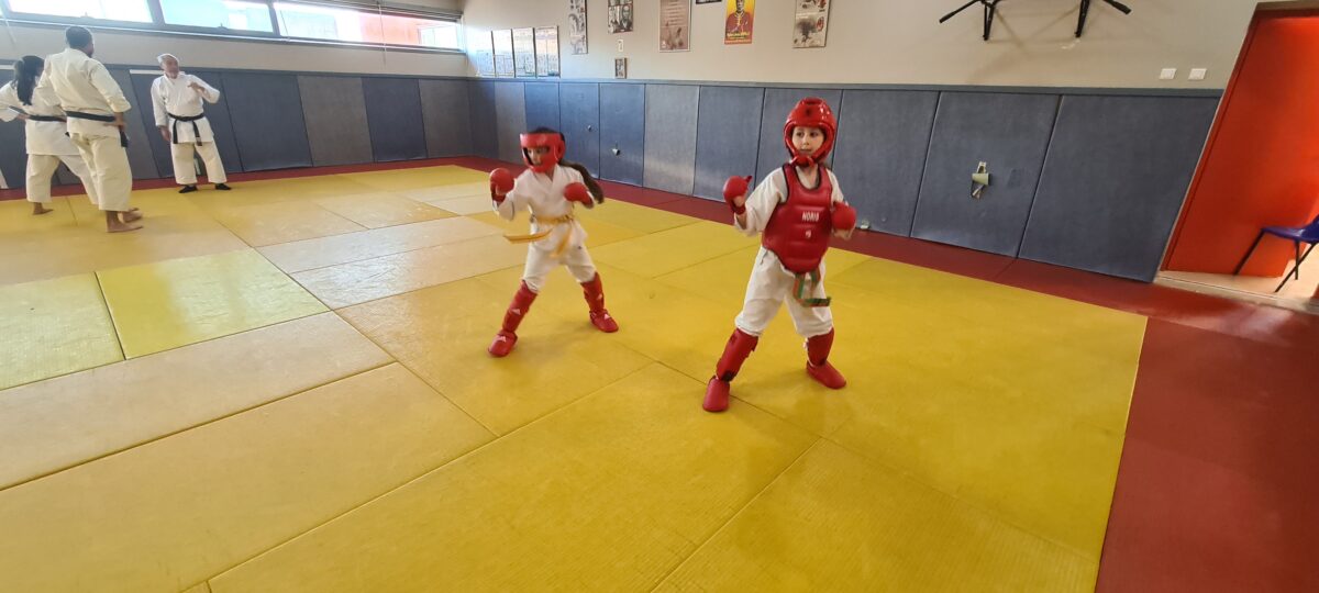 Les bienfaits de la pratique du Karaté pour les enfants club de