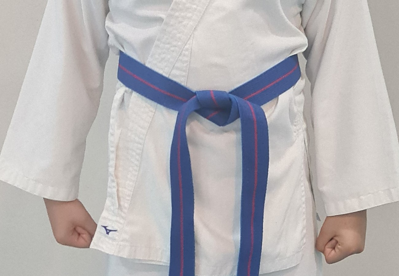 ceinture bleue ceinture bleue karaté